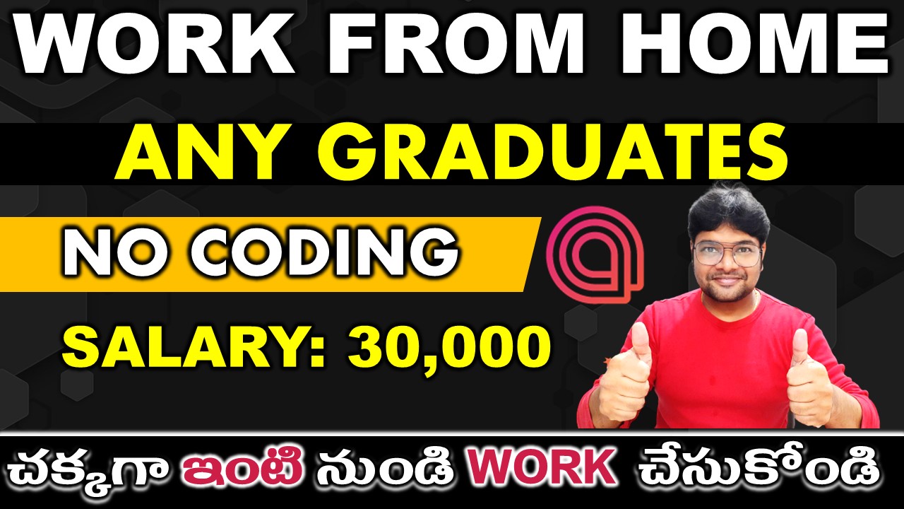 Work from Home jobs 2022 in Telugu Amber Students jobs 2022 in Telugu Latest jobs V the Techee