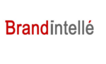 Brand Intelle is hiring for Junior Executive Customer Success | Apply Now